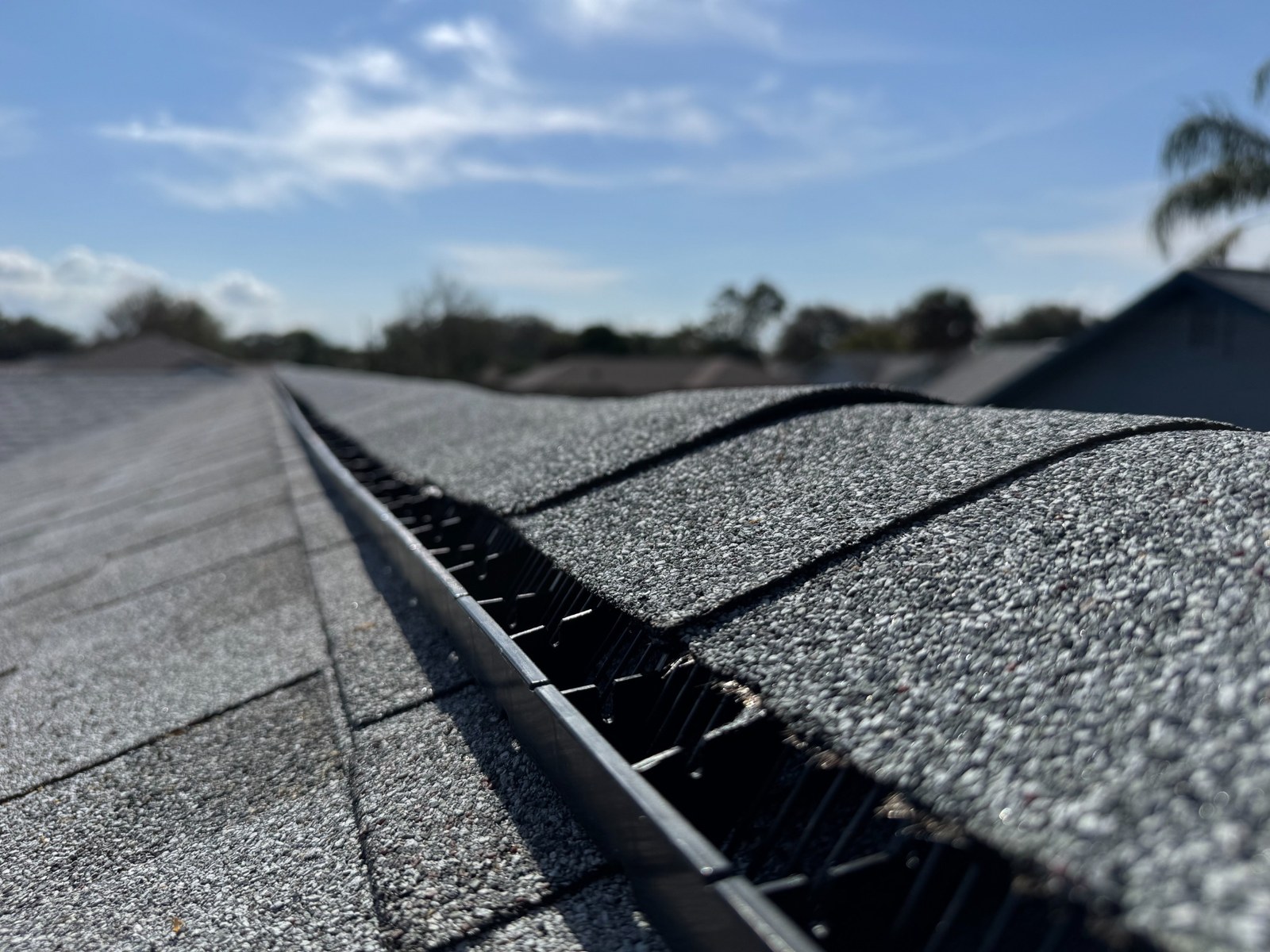 hubspot_IMG_7377_1600